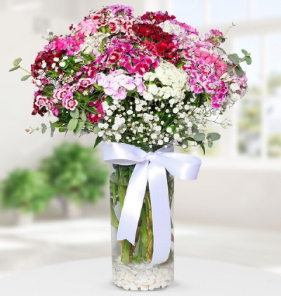 Kayseri Çiçekçiler Vazoda Hüsnüyusuf Çiçeği