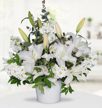  Kayseri Çiçekçiler  Beyaz Lilyum ve Şebboy