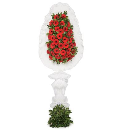  Kayseri Çiçek Kırmızı Gerbera Sepet/Çelenk