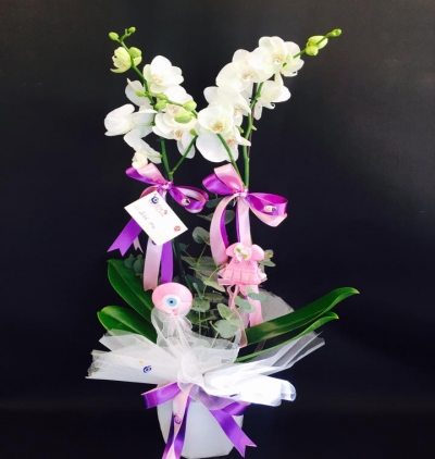  Kayseri Çiçek Siparişi Beyaz 2 Dallı Orkide Çiçeği